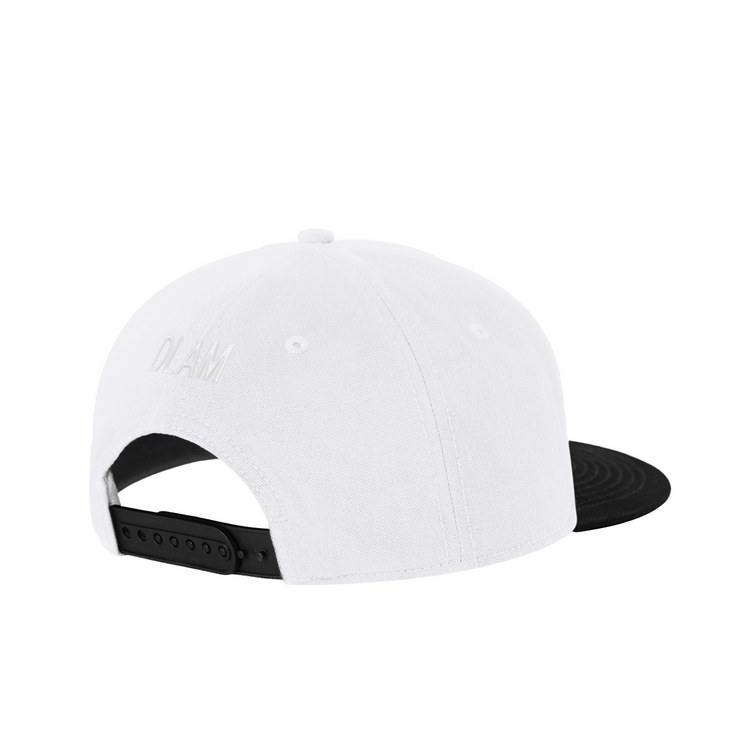 DLAM CAP